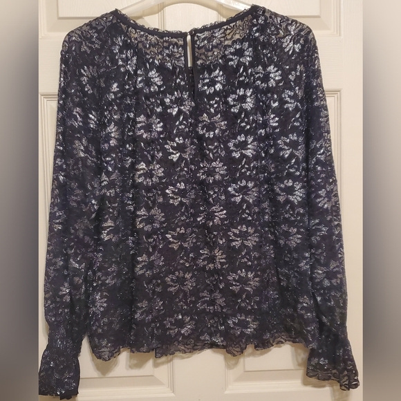 NWT C. EST. 1946 Plus Black and Silver Sheer Lace Blouse. Size 16-18 W - Picture 3 of 13